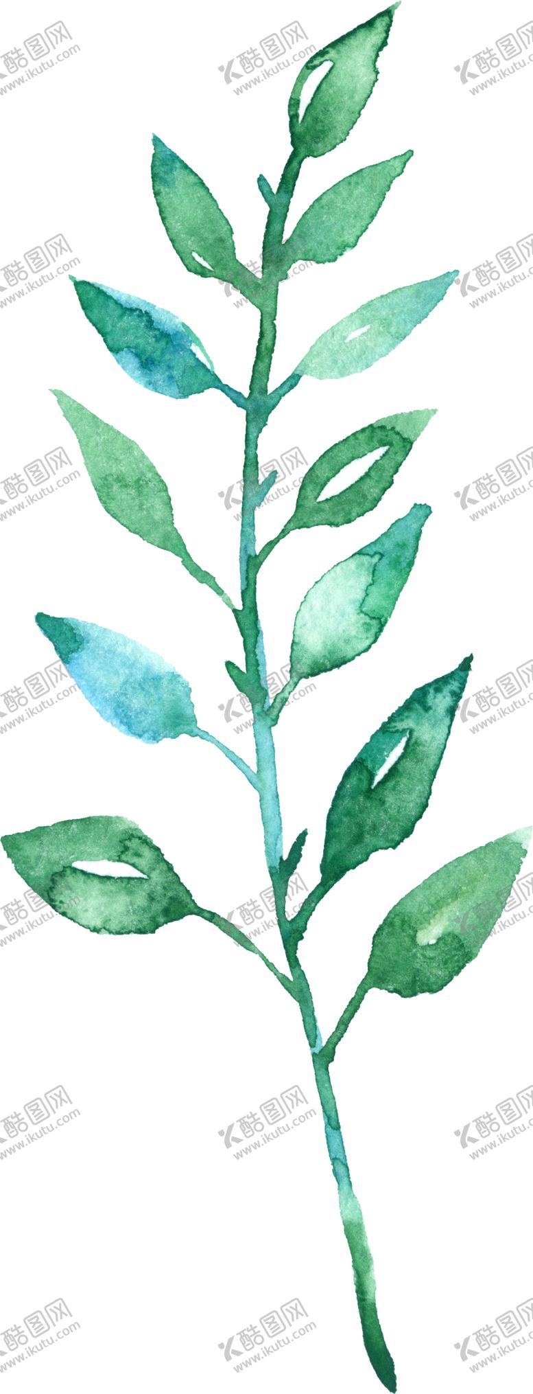 编号：84206007062023001269【酷图网】源文件下载-绿叶