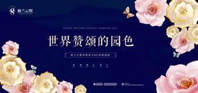 璀璨绽放