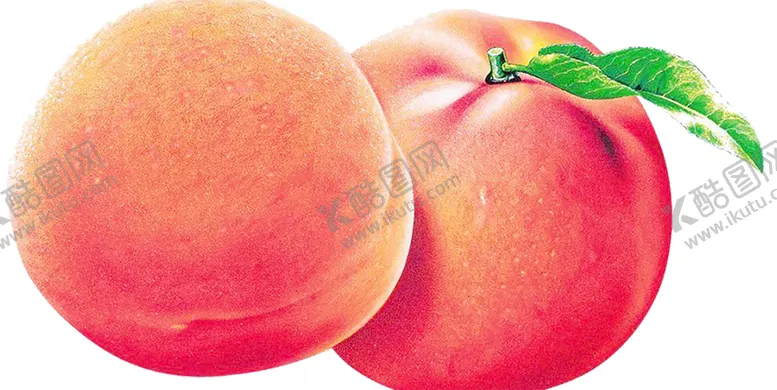 编号：14748710071648448509【酷图网】源文件下载-水果