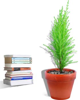 绿色植物蝴蝶装饰画背景墙效果图