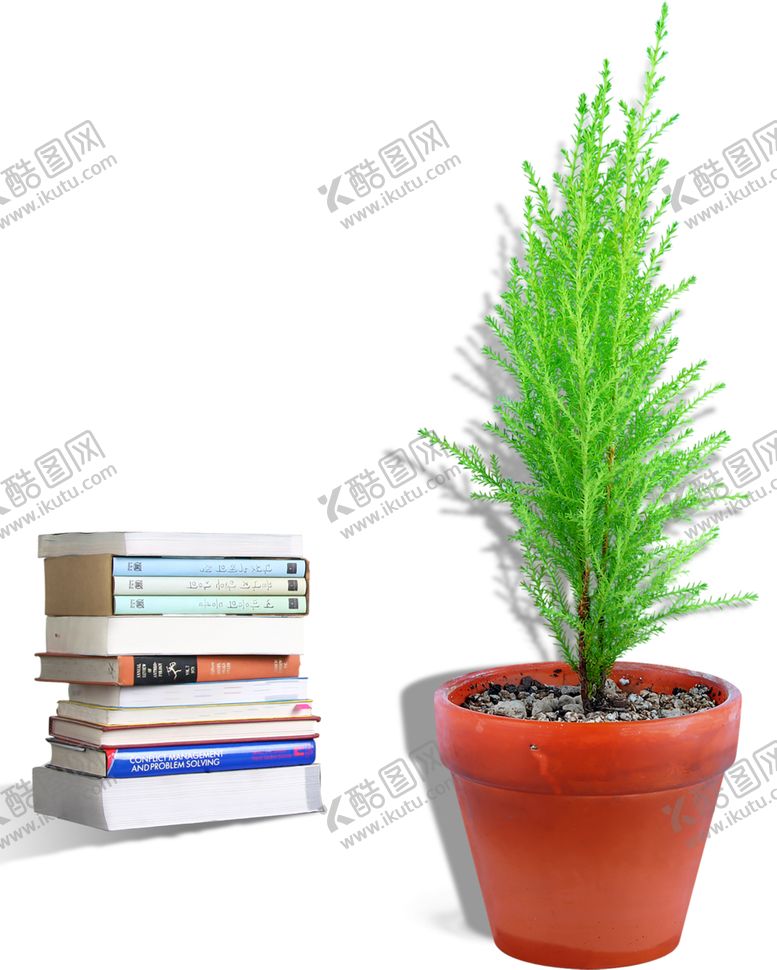 编号：22911006301007473651【酷图网】源文件下载-绿色植物