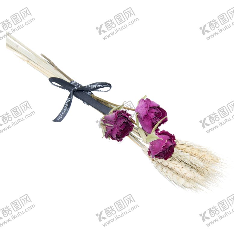 编号：34697910240043212865【酷图网】源文件下载-免抠背景干花枯花