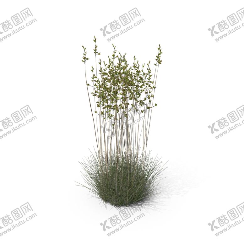 编号：90184610091408012746【酷图网】源文件下载-花草