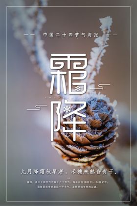 霜降海报雪花雪人二十四节气