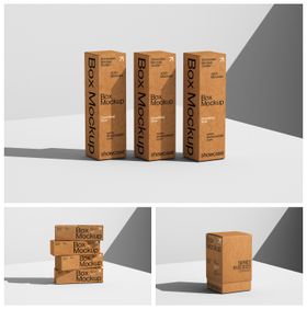 立体方盒包装样机
