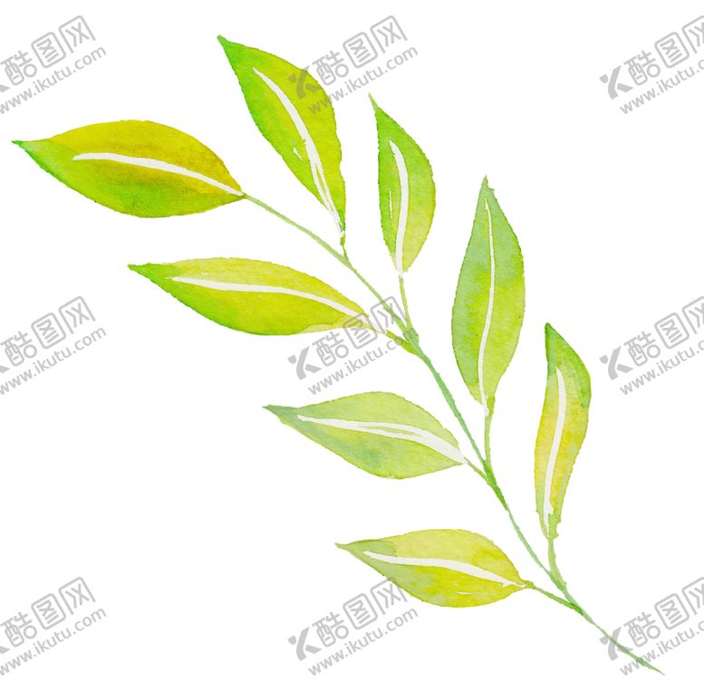 编号：74046007061912462581【酷图网】源文件下载-水彩植物