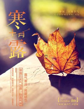 寒露海报