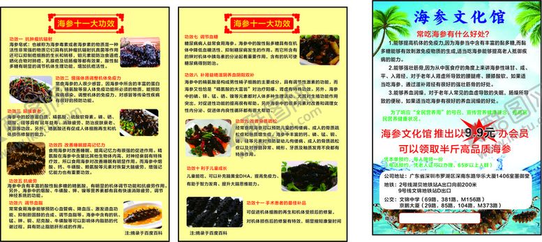 编号：46685001251830019602【酷图网】源文件下载-海参简介