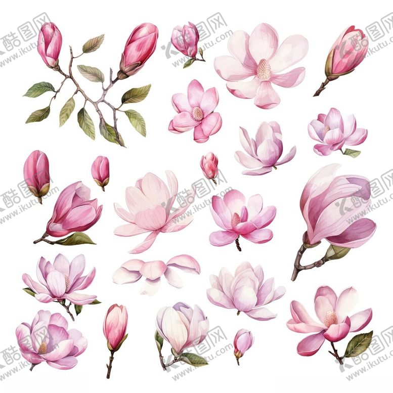 编号：85906411171743426448【酷图网】源文件下载-粉色玉兰花花卉素材集合