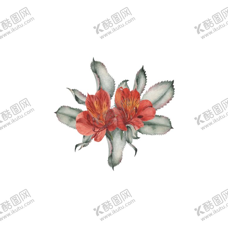编号：56010102150925553192【酷图网】源文件下载-手绘植物花草
