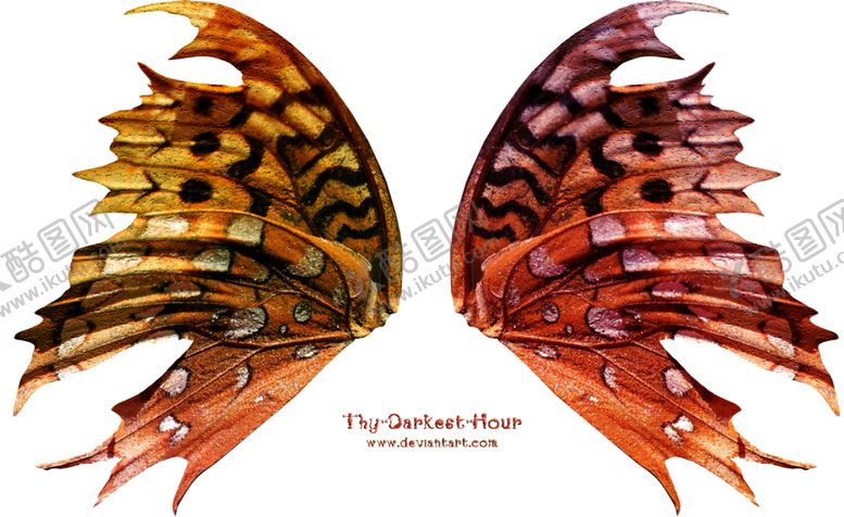 编号：80384010290704404569【酷图网】源文件下载-蝴蝶翅膀