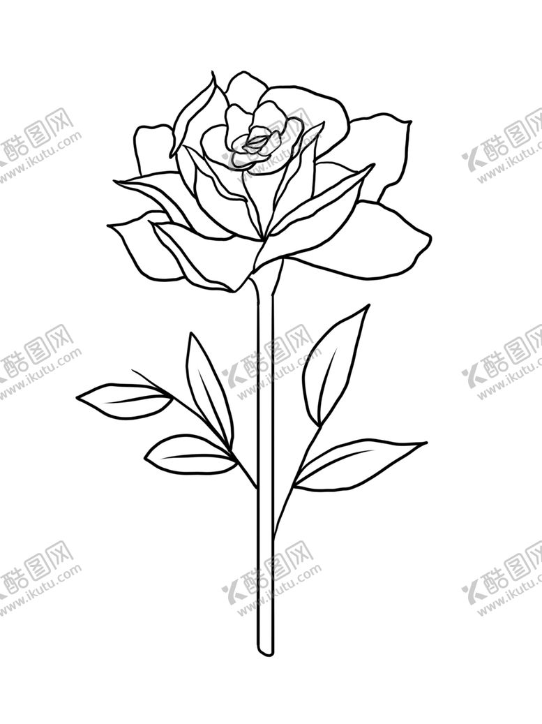 编号：89321005180453004121【酷图网】源文件下载-玫瑰花