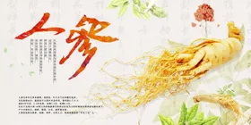 人参活动宣传素材