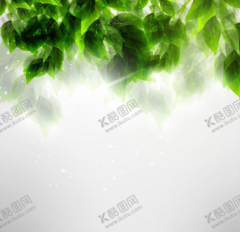 编号：94051209200533512429【酷图网】源文件下载-绿叶背景