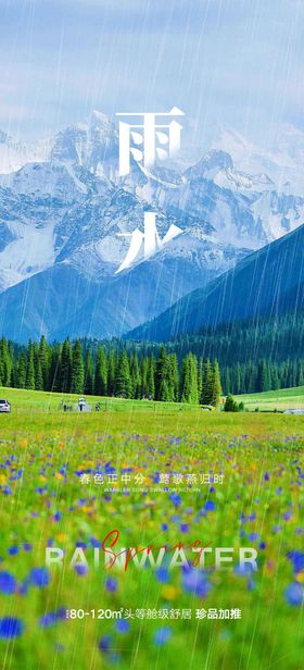 雨水节气海报简约二十四风景