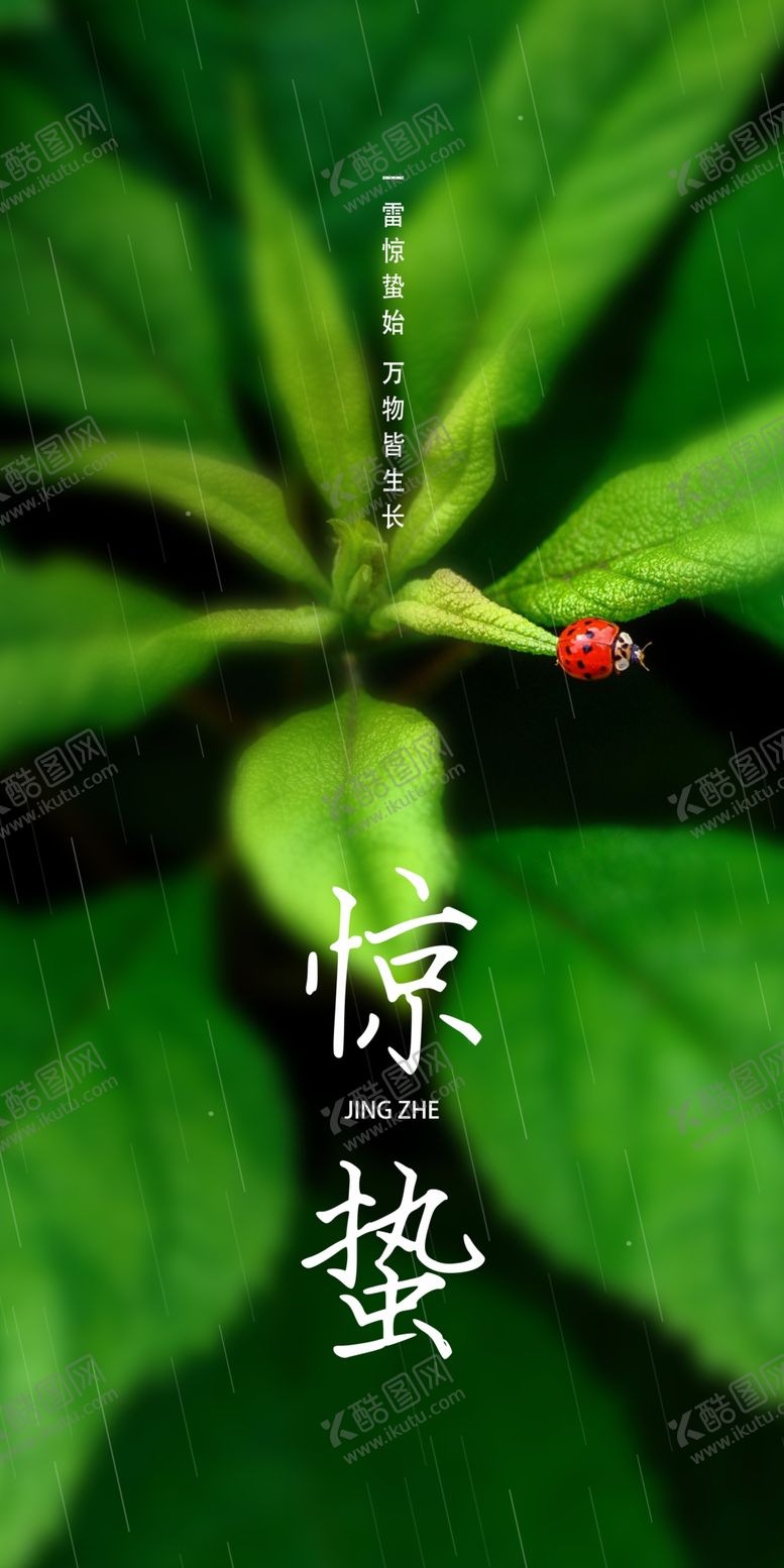 编号：16530209241030254569【酷图网】源文件下载-惊蛰