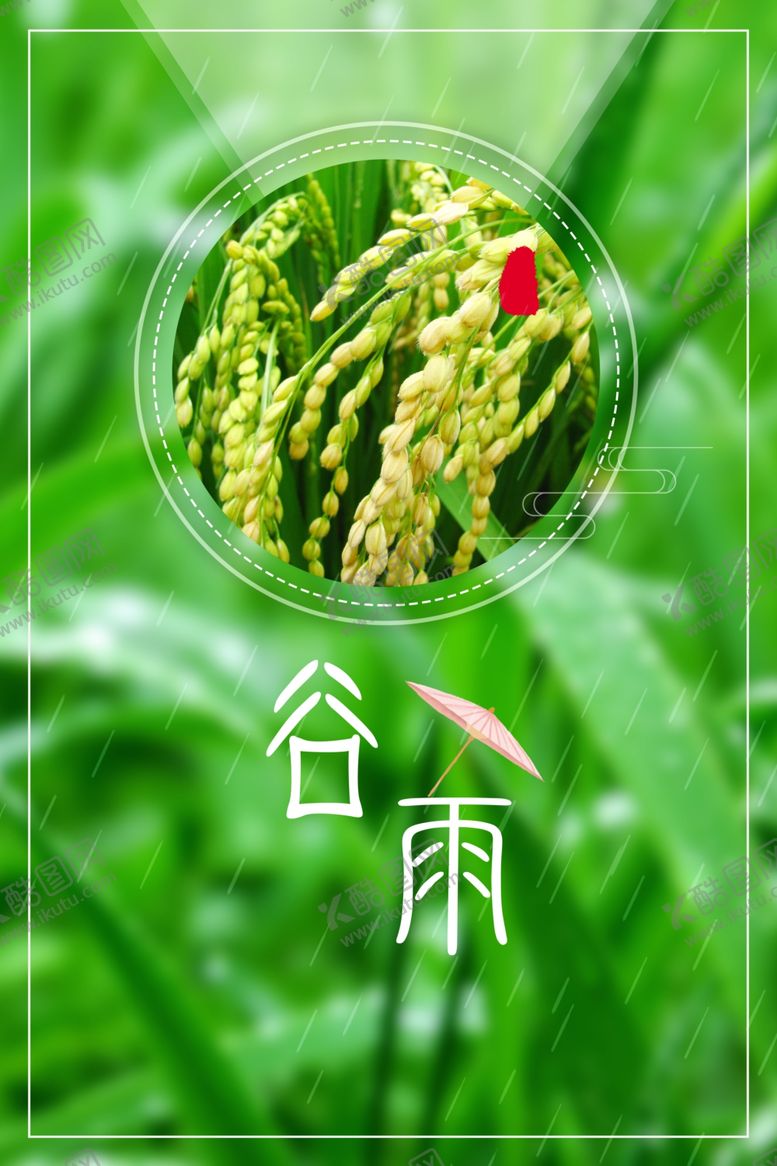 编号：92142907050641349028【酷图网】源文件下载-水稻
