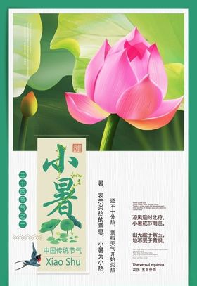 小暑节气