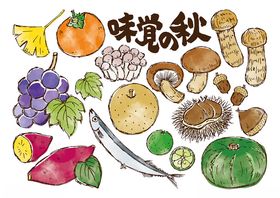 秋日缤纷果蔬插画