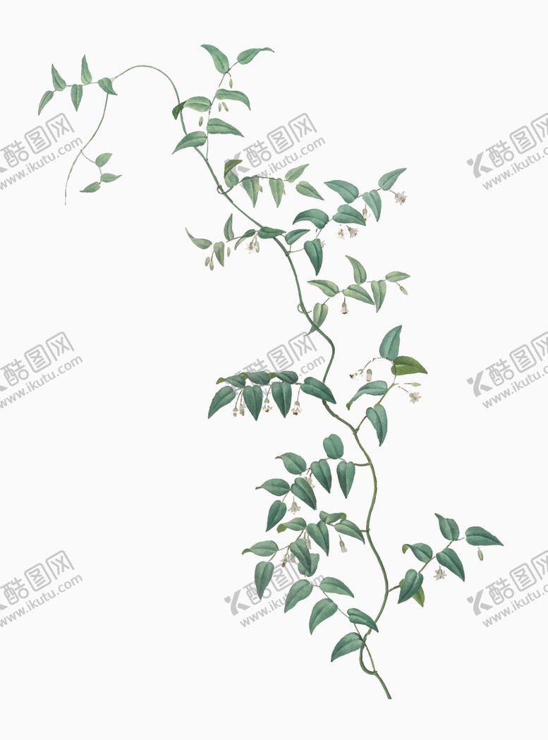 编号：92895009230119273172【酷图网】源文件下载-叶子