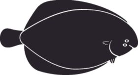 海洋生物系列海鱼