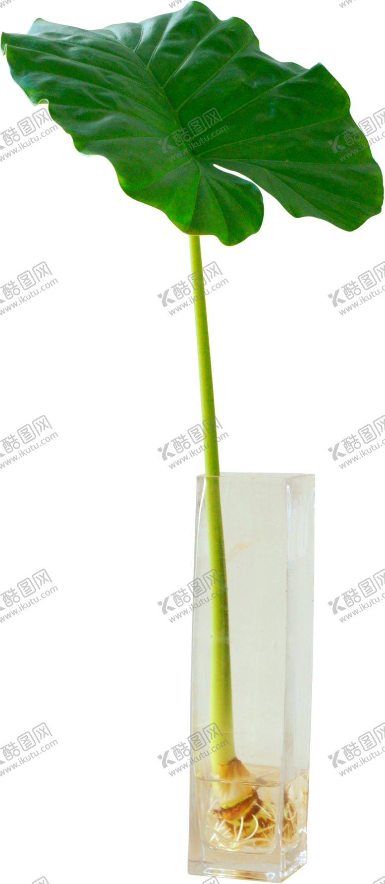 编号：76553804282038132372【酷图网】源文件下载-花瓶