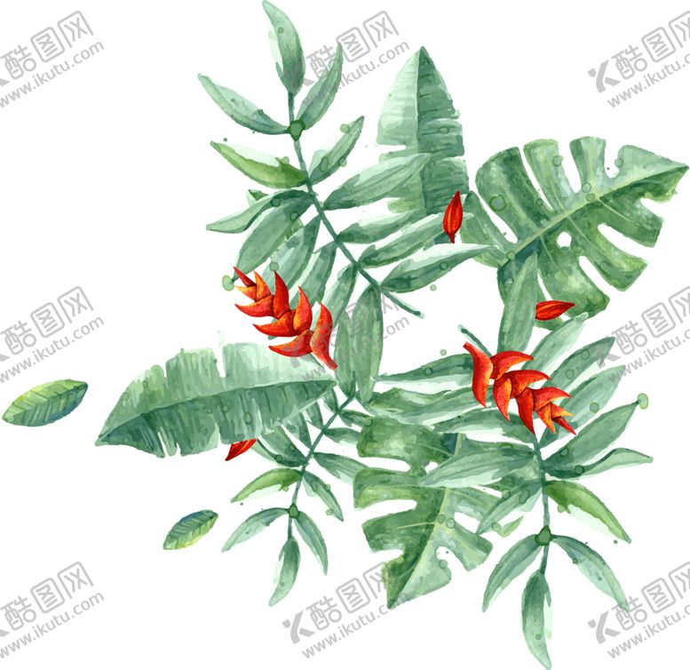 编号：86846205032221149024【酷图网】源文件下载-芭蕉叶热带