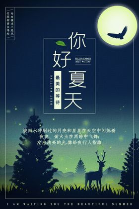 你好夏天