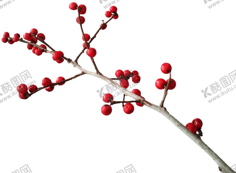 编号：49643909250546534212【酷图网】源文件下载-水果