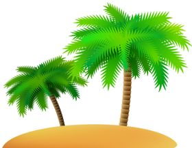 椰子树