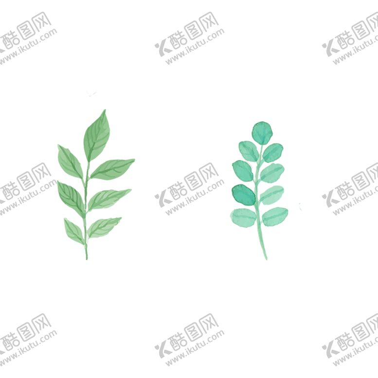 编号：77196407040318135578【酷图网】源文件下载-绿色相框