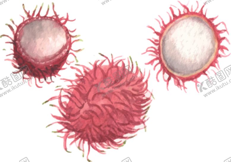 编号：72453011010838084758【酷图网】源文件下载-夏日水果水彩插画