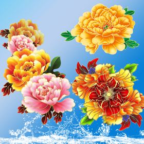 牡丹花国画