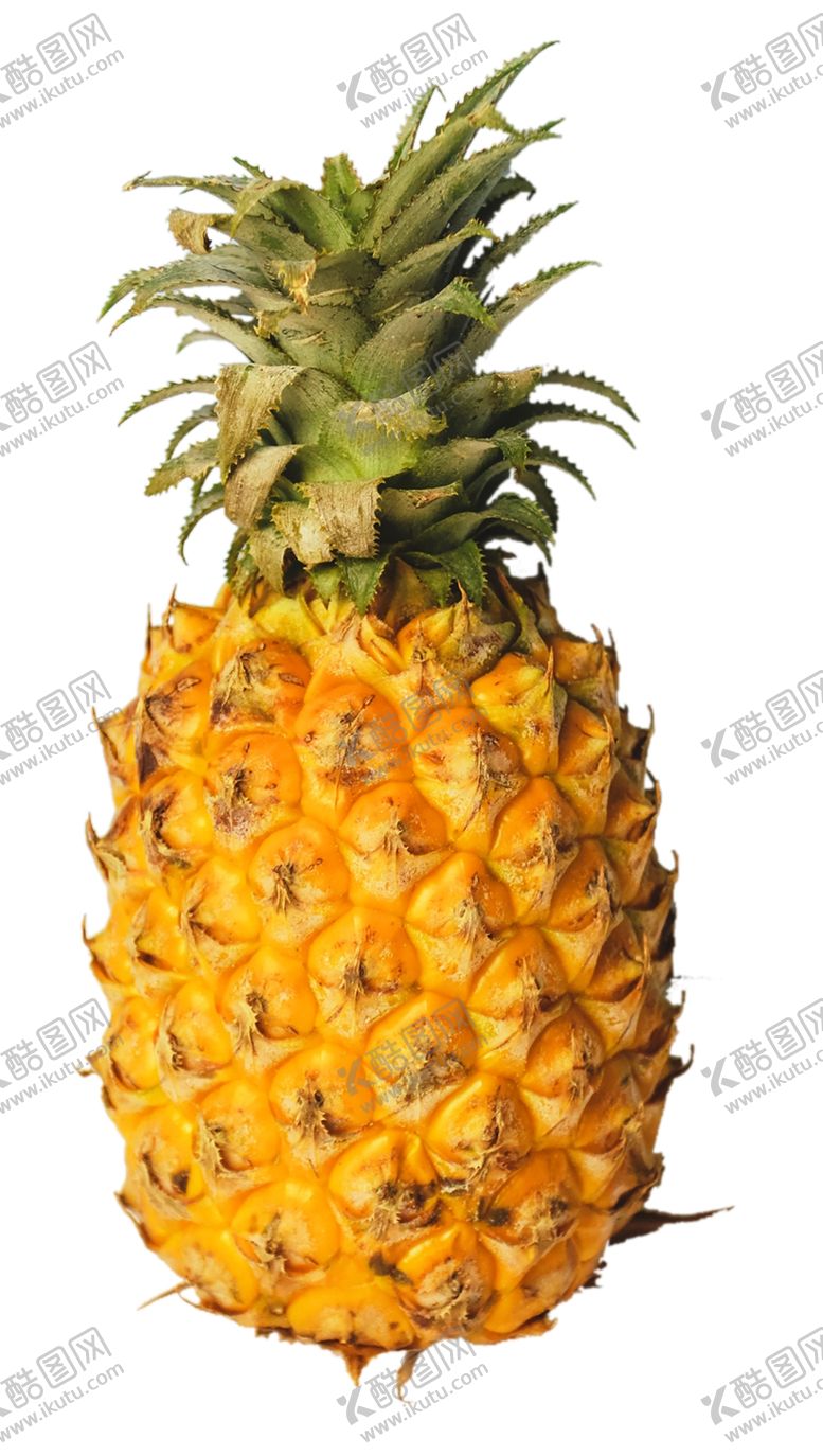 编号：66785910301755508749【酷图网】源文件下载-菠萝