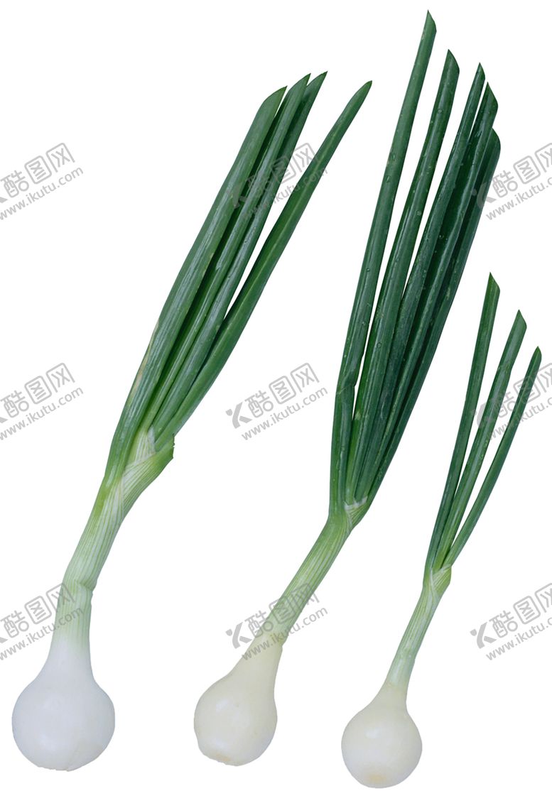编号：92109310171149463978【酷图网】源文件下载-绿色相框