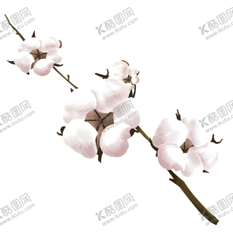 编号：38852404060832065731【酷图网】源文件下载-棉花