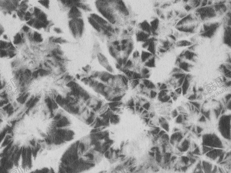 编号：88954703311622229062【酷图网】源文件下载-布纹