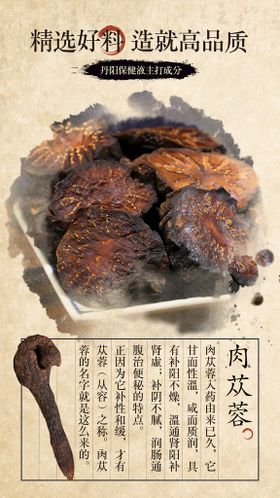 中药成分肉苁蓉养生药材海报补肾壮阳