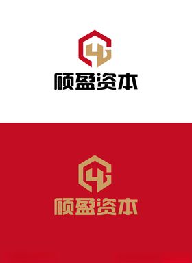 资本金融标识设计