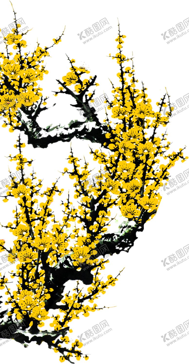 编号：42028110110041579609【酷图网】源文件下载-花素材