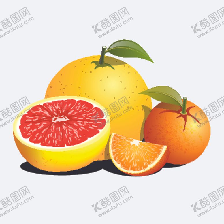 编号：47972311011704592251【酷图网】源文件下载-矢量果蔬素材