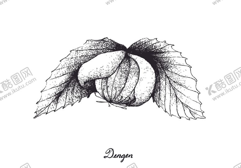 编号：59580110111307104445【酷图网】源文件下载-白描水果