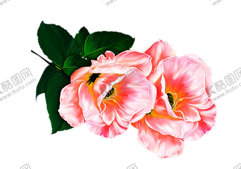 编号：78195809271437518198【酷图网】源文件下载-花素材