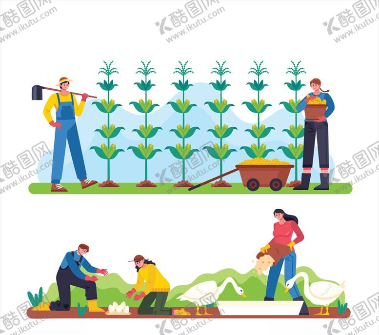 编号：47187010081703038031【酷图网】源文件下载-农场收获玉米种玉米