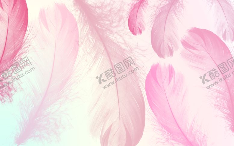 编号：76981310091103217364【酷图网】源文件下载-渐变色高清梦幻抽象羽毛