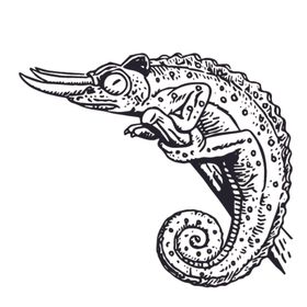 龟线稿绘画图案