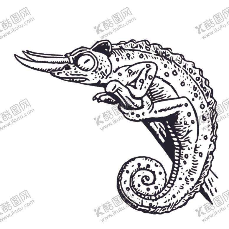 编号：71823707130940487924【酷图网】源文件下载-爬行动物线稿绘画图案