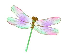 彩色蜻蜓