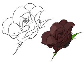 花卉素描简笔线稿黑白线条绘画