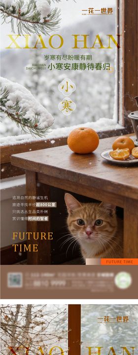 地产二十四节气小寒大寒系列海报